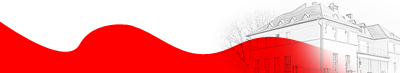 flaga.png (22 KB)